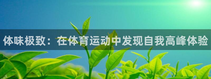 制胜体育下载官：体味极致：在体育运动中发现自我高峰体验