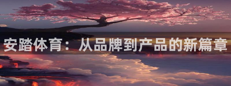制胜体育为什么下载不了：安踏体育：从品牌到产品的新篇章