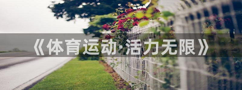制胜体育旧版本下载：《体育运动·活力无限》