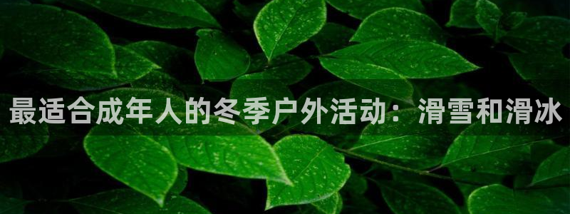 制胜体育在线下载：最适合成年人的冬季户外活动：滑雪和滑冰